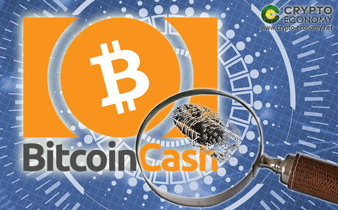 Bitcoin Cash [BCH] Una sola dirección representa más de la mitad de las transacciones del último mes