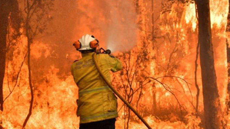 Binance dona 1 millón de dólares en ayuda destinado a los incendios forestales de Australia