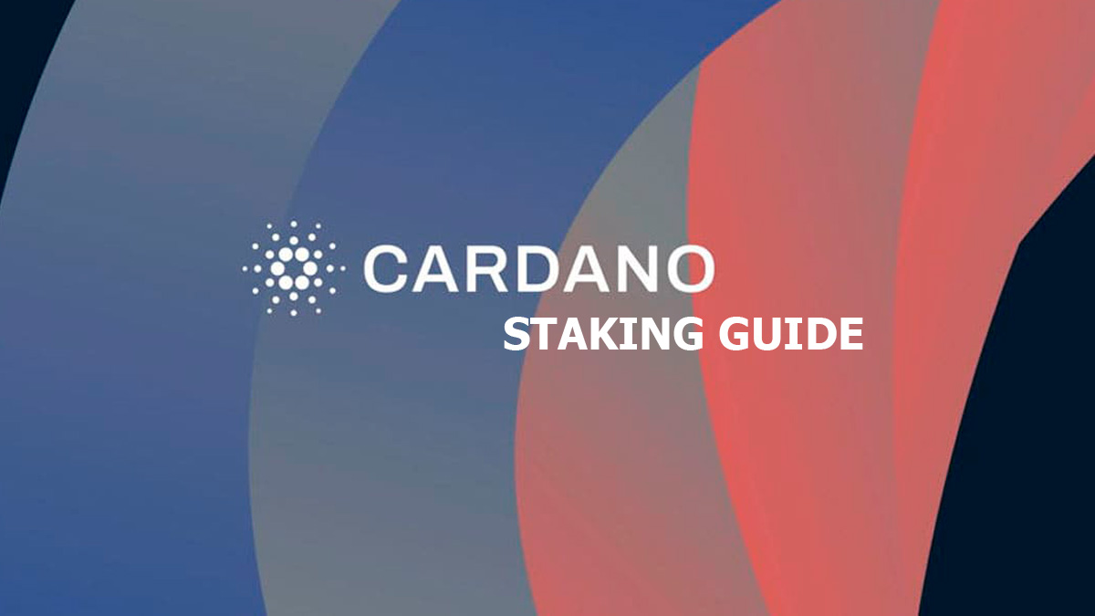 Cardano staking guide