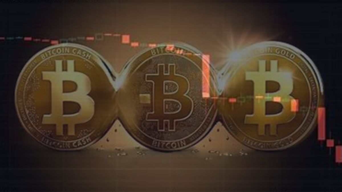 El Renacimiento del Bitcoin, ¿Es Suficiente Para Empujar al BTC Hacia los $30.000?