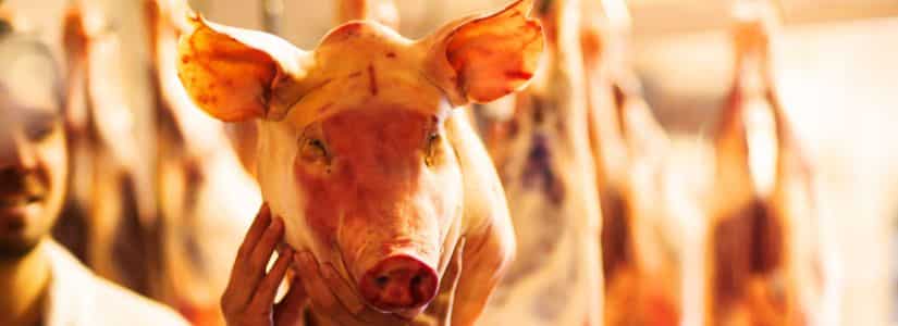LA CORTE DESMIENTE UN CASO DE "Pig Butchering" CONTRA BINANCE