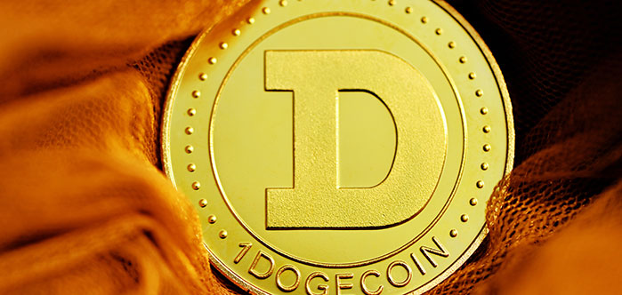 Predicción del Precio de Dogecoin (DOGE) 2022-2025 - ¿Seguirá Elon Musk Apoyando a DOGE?