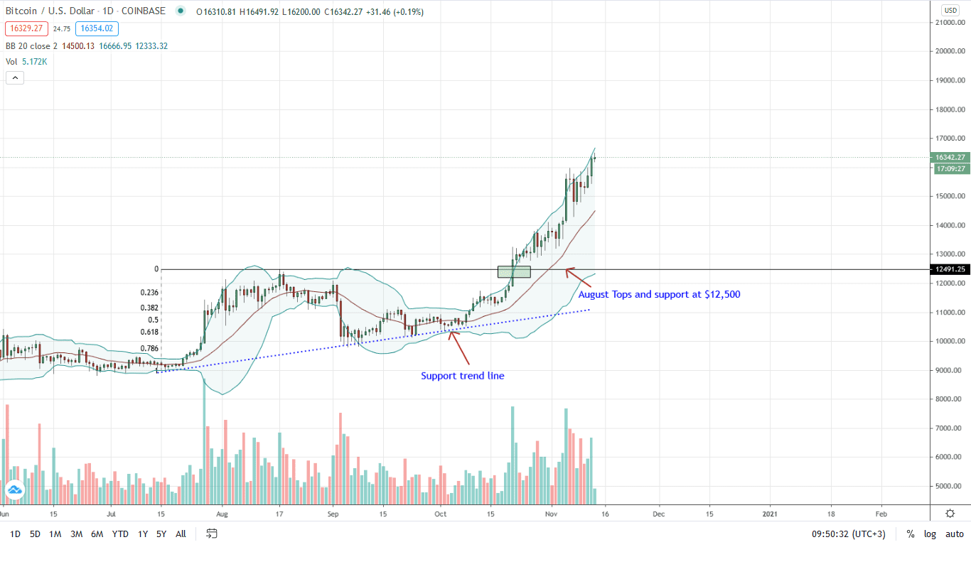 Bitcoin Daily Chart for Nov 13