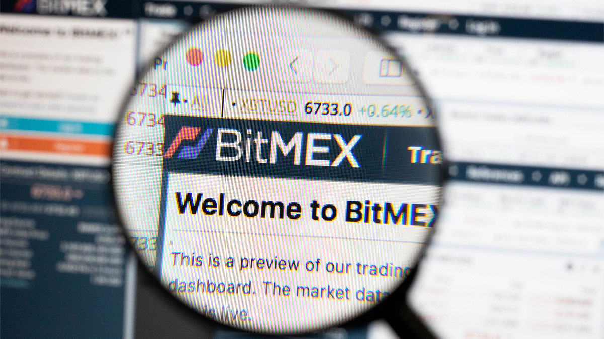 Bitmex-Exposed